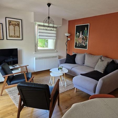 Robertsau Tres Bel Appartement Страсбург Екстериор снимка