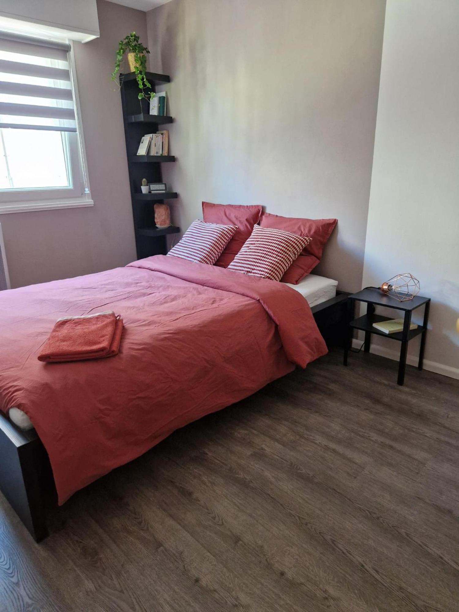 Robertsau Tres Bel Appartement Страсбург Екстериор снимка
